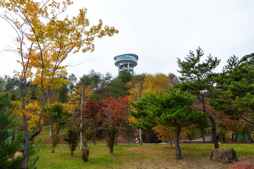 3.예천군, 2020년 숲가꾸기 우수사업장 선정